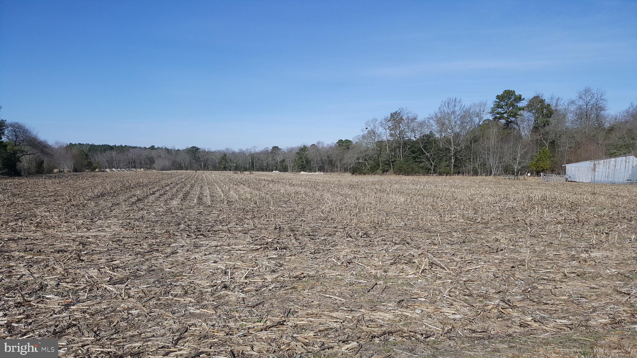 6088 Forest Grove Road Parsonsburg, MD 21849 - Photo 2 of 8 Northwest view