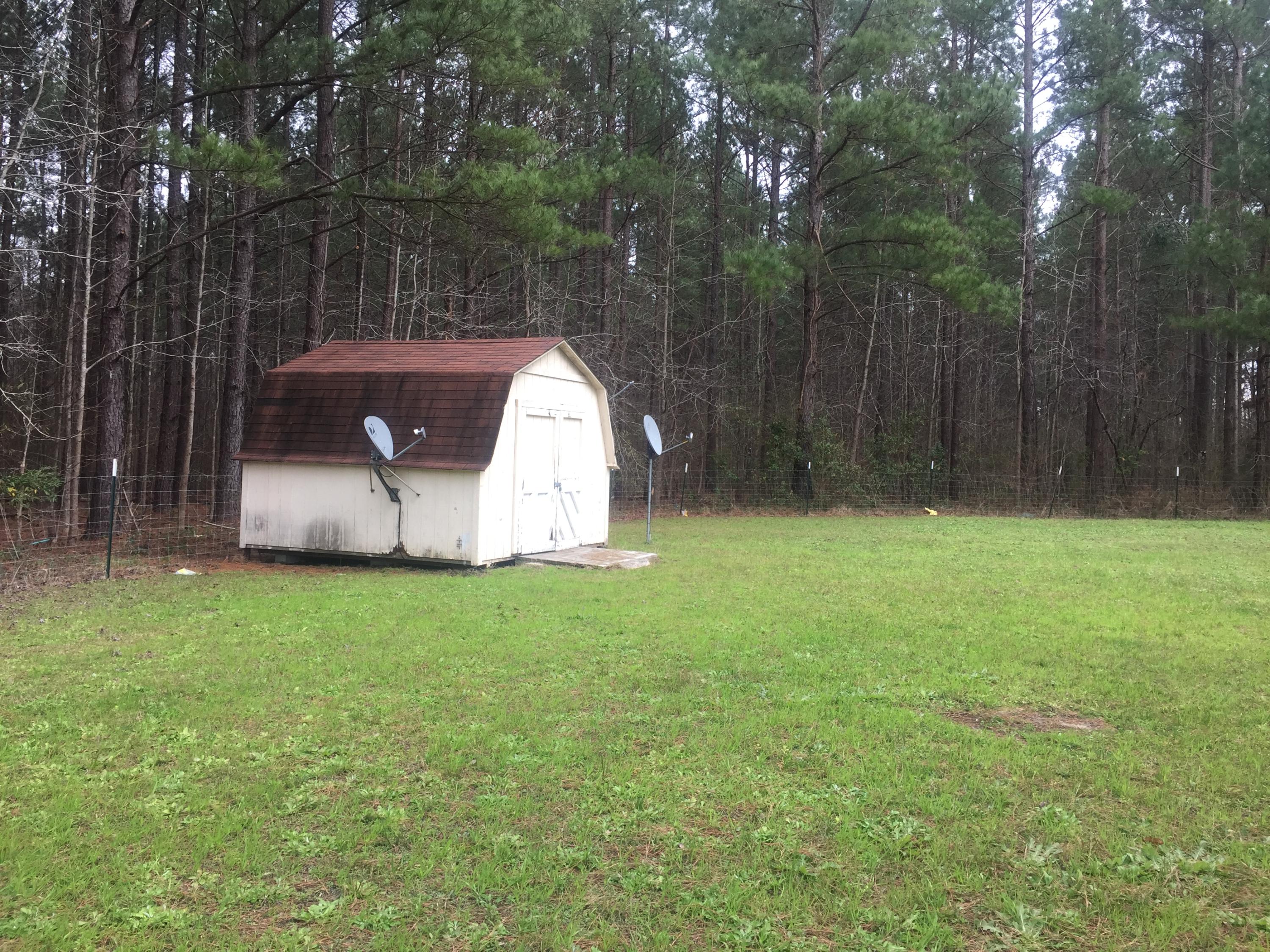 324 Tunnel Road Harleyville, SC 29448 - Photo 3 of 9 Back yard