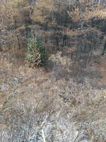 $59,000 | Perkinstown Avenue, Medford, WI 54451