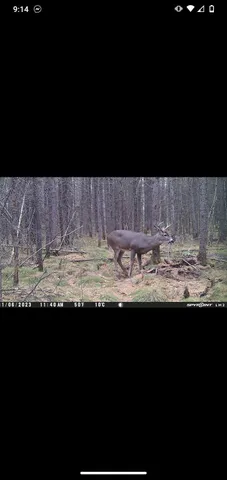 $59,000 | Perkinstown Avenue, Medford, WI 54451