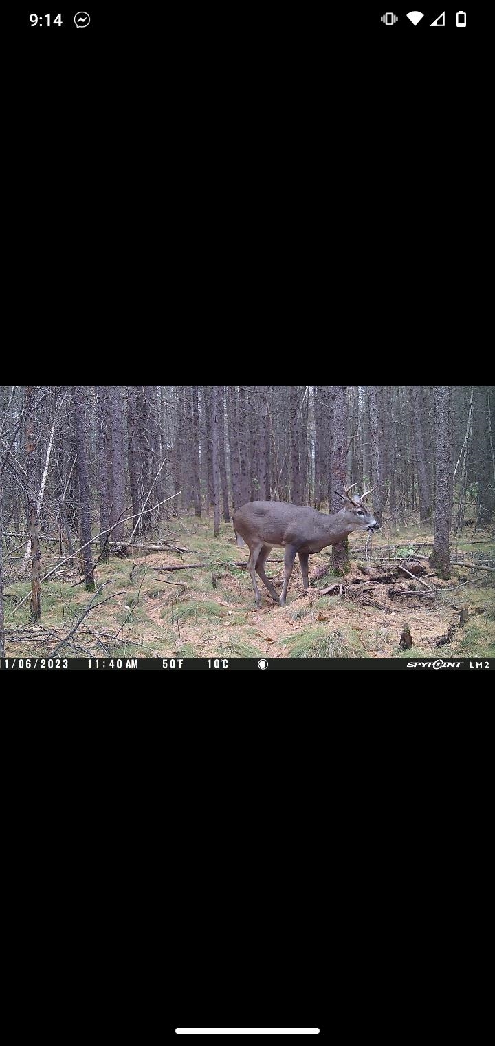 Perkinstown Avenue Medford, WI 54451 - Photo 11 of 15