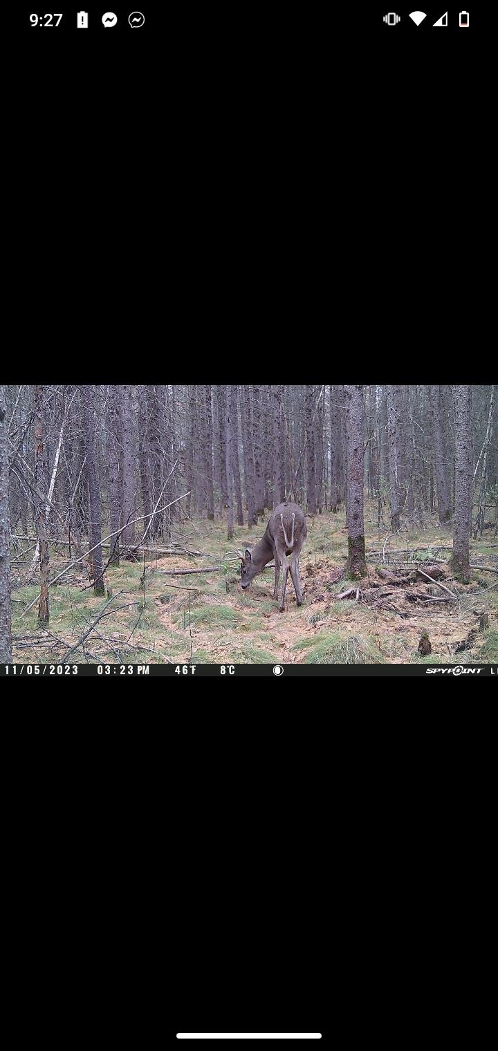 Perkinstown Avenue Medford, WI 54451 - Photo 14 of 15