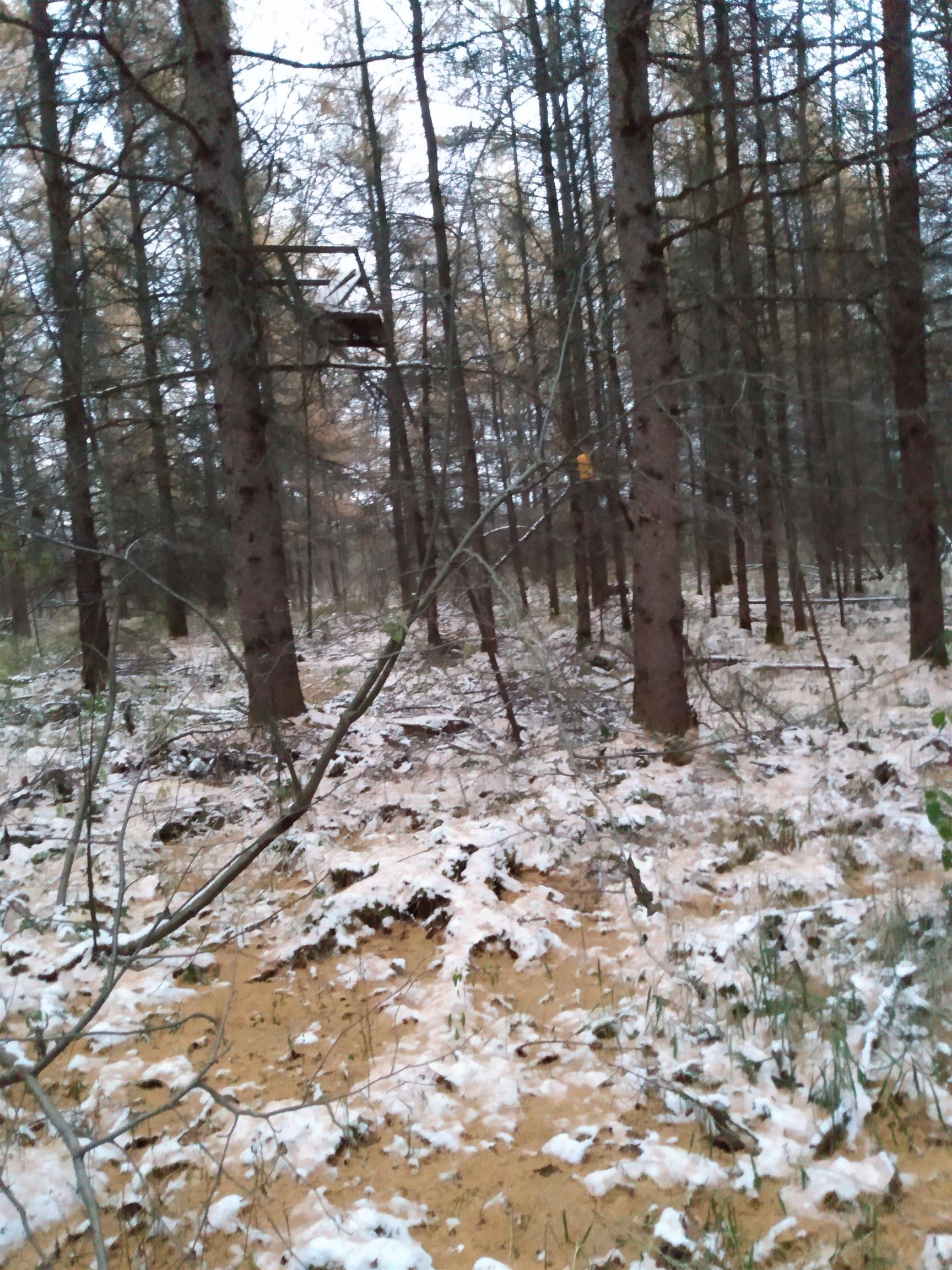 Perkinstown Avenue Medford, WI 54451 - Photo 4 of 15