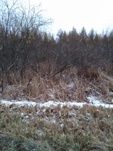 $59,000 | Perkinstown Avenue, Medford, WI 54451