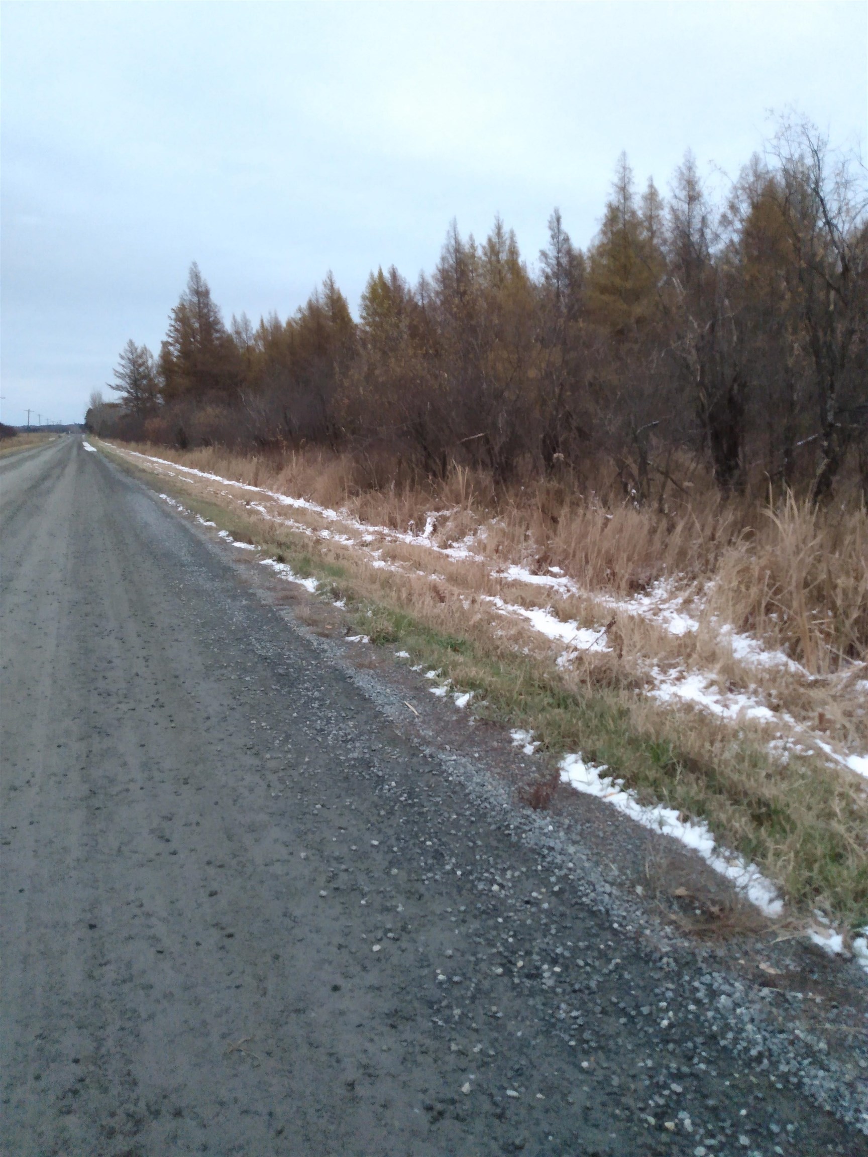 Perkinstown Avenue Medford, WI 54451 - Photo 6 of 15