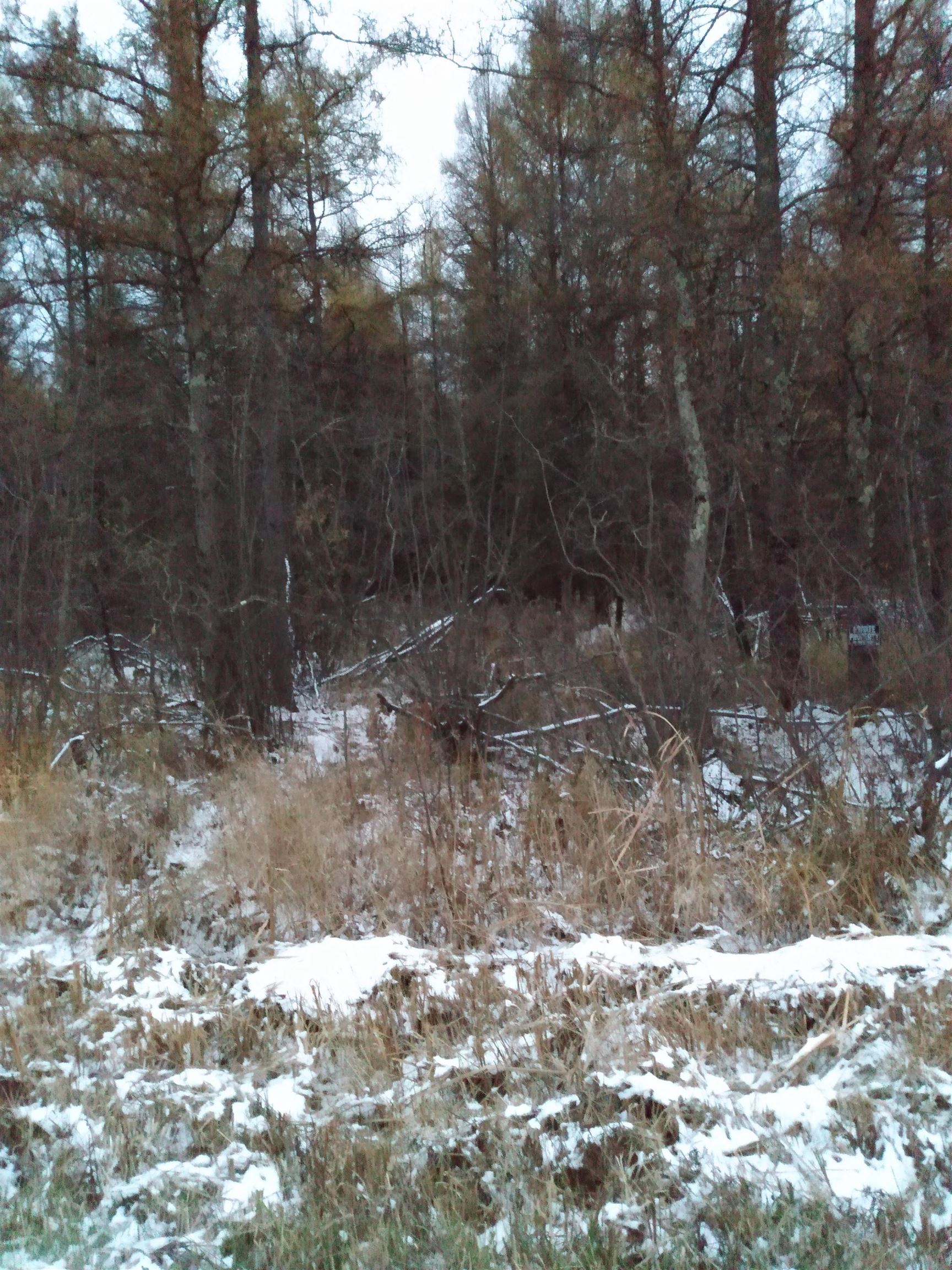 Perkinstown Avenue Medford, WI 54451 - Photo 7 of 15