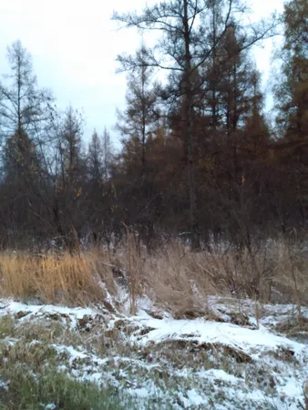 $59,000 | Perkinstown Avenue, Medford, WI 54451