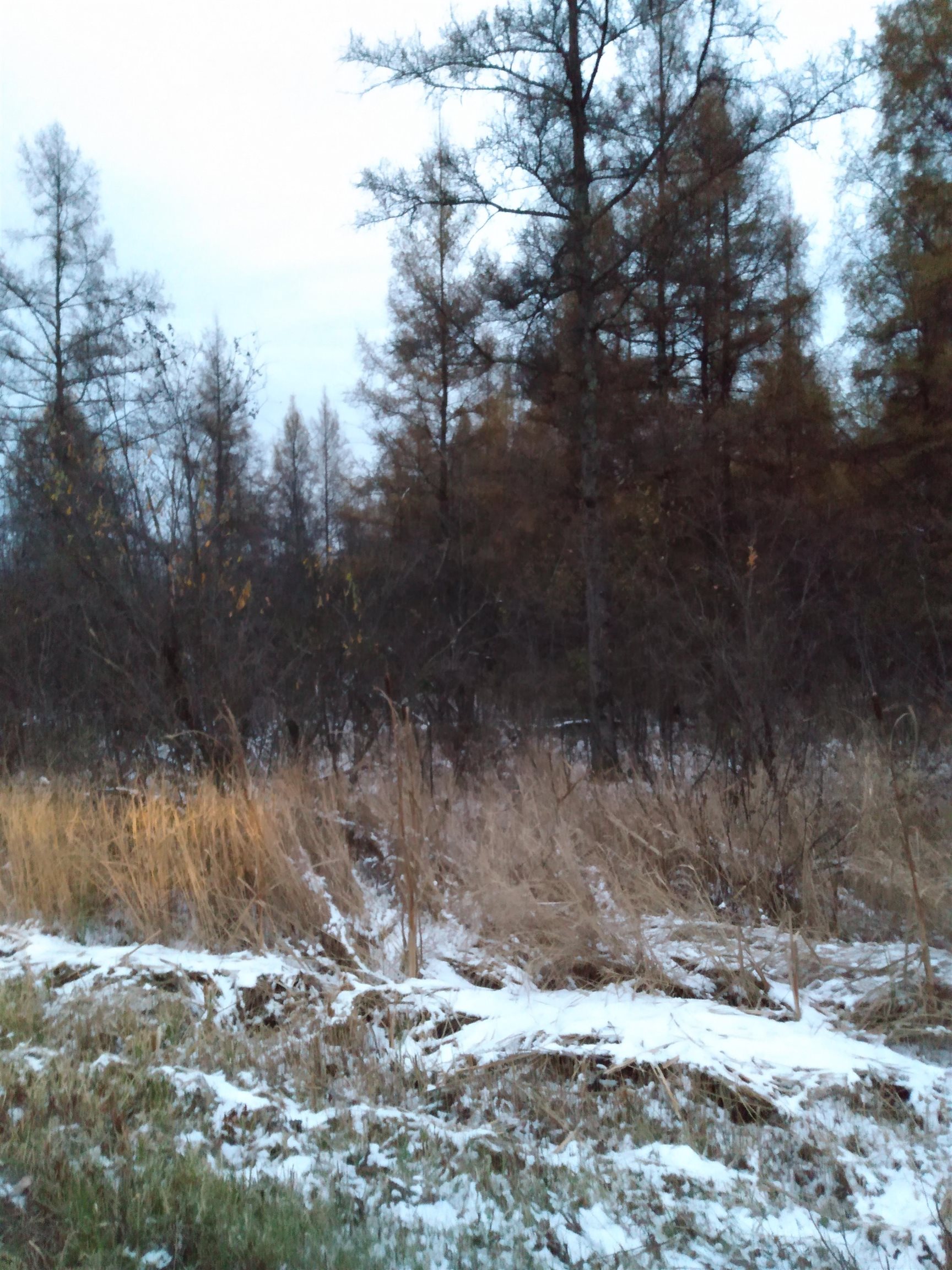 Perkinstown Avenue Medford, WI 54451 - Photo 8 of 15