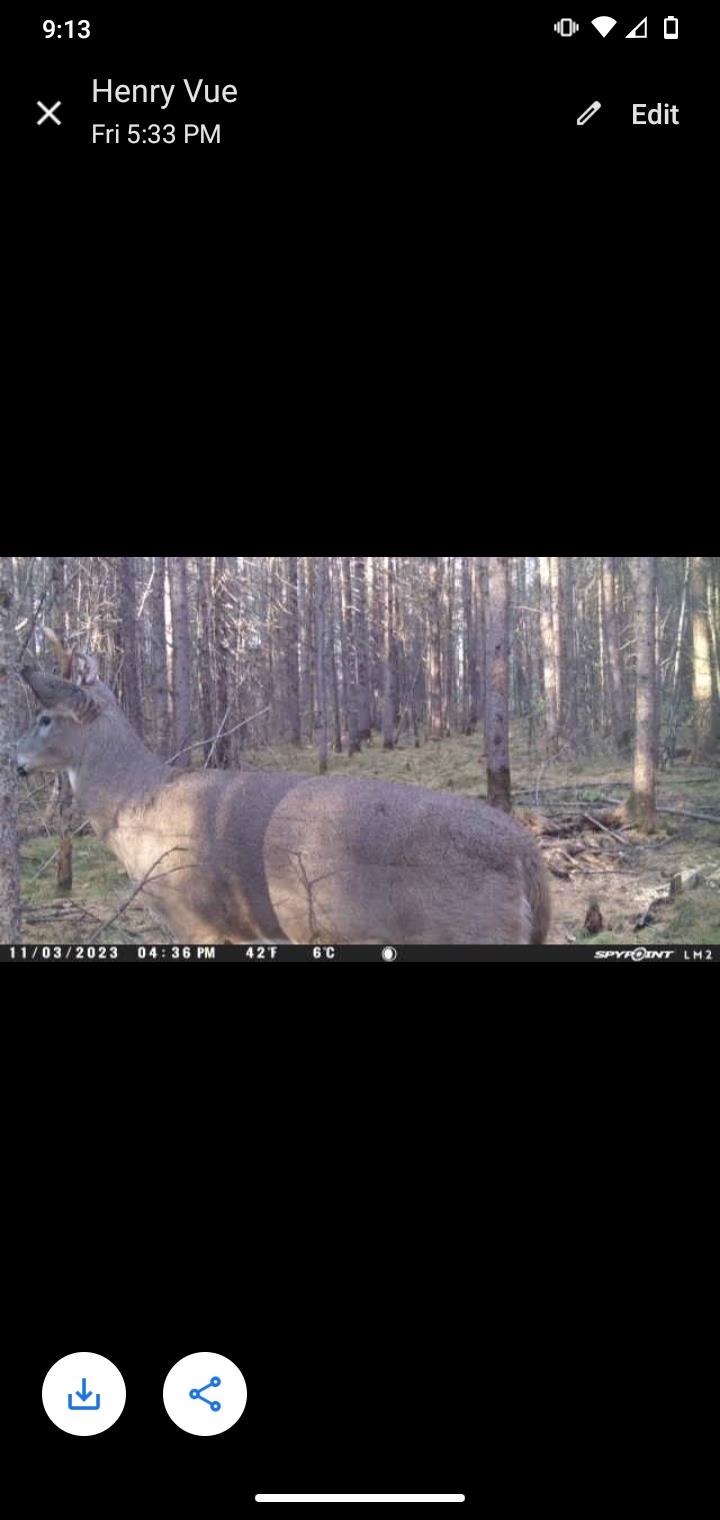 Perkinstown Avenue Medford, WI 54451 - Photo 9 of 15