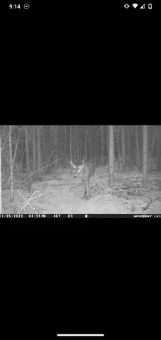 $59,000 | Perkinstown Avenue, Medford, WI 54451