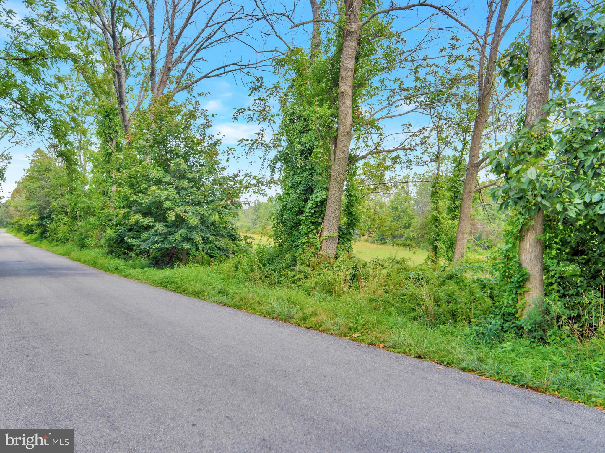 0 Parestis Road Pennsburg, PA 18073 - Photo 3 of 10 Gallery Image 3