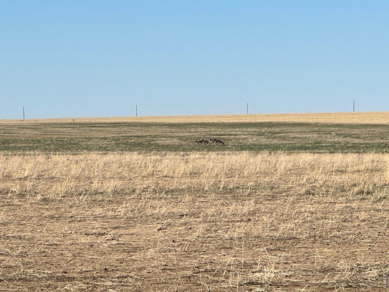 100 4th Road Sugar City, CO 81076 - Photo 6 of 19 a view of an ocean