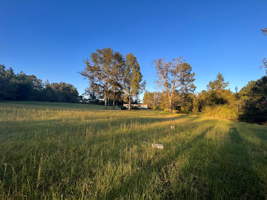 4151 Cotton Box Road Slocomb, AL 36375 - Photo 16 of 17