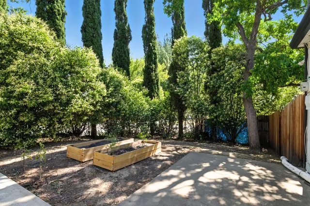 a view of a backyard with plants and a tree