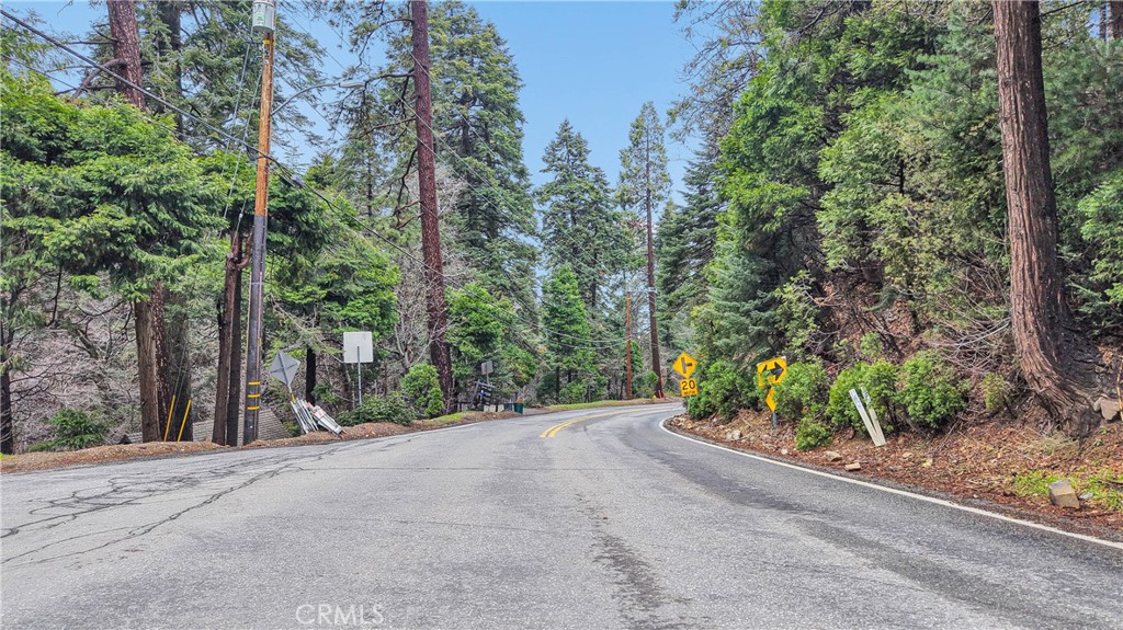 a view of a road with trees in the background