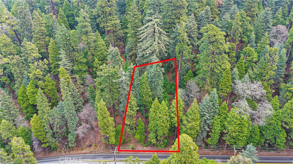 642 Rose Quartz Road Lake Arrowhead, CA 92352 - Photo 6 of 11 a view of a yard with plants