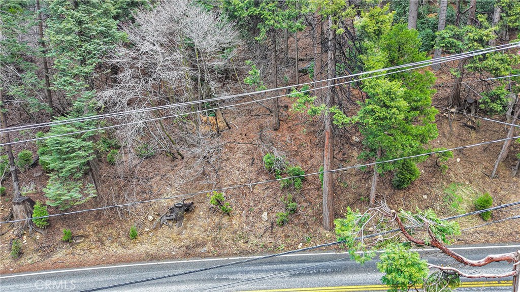 642 Rose Quartz Road Lake Arrowhead, CA 92352 - Photo 10 of 11 a view of a yard from a window