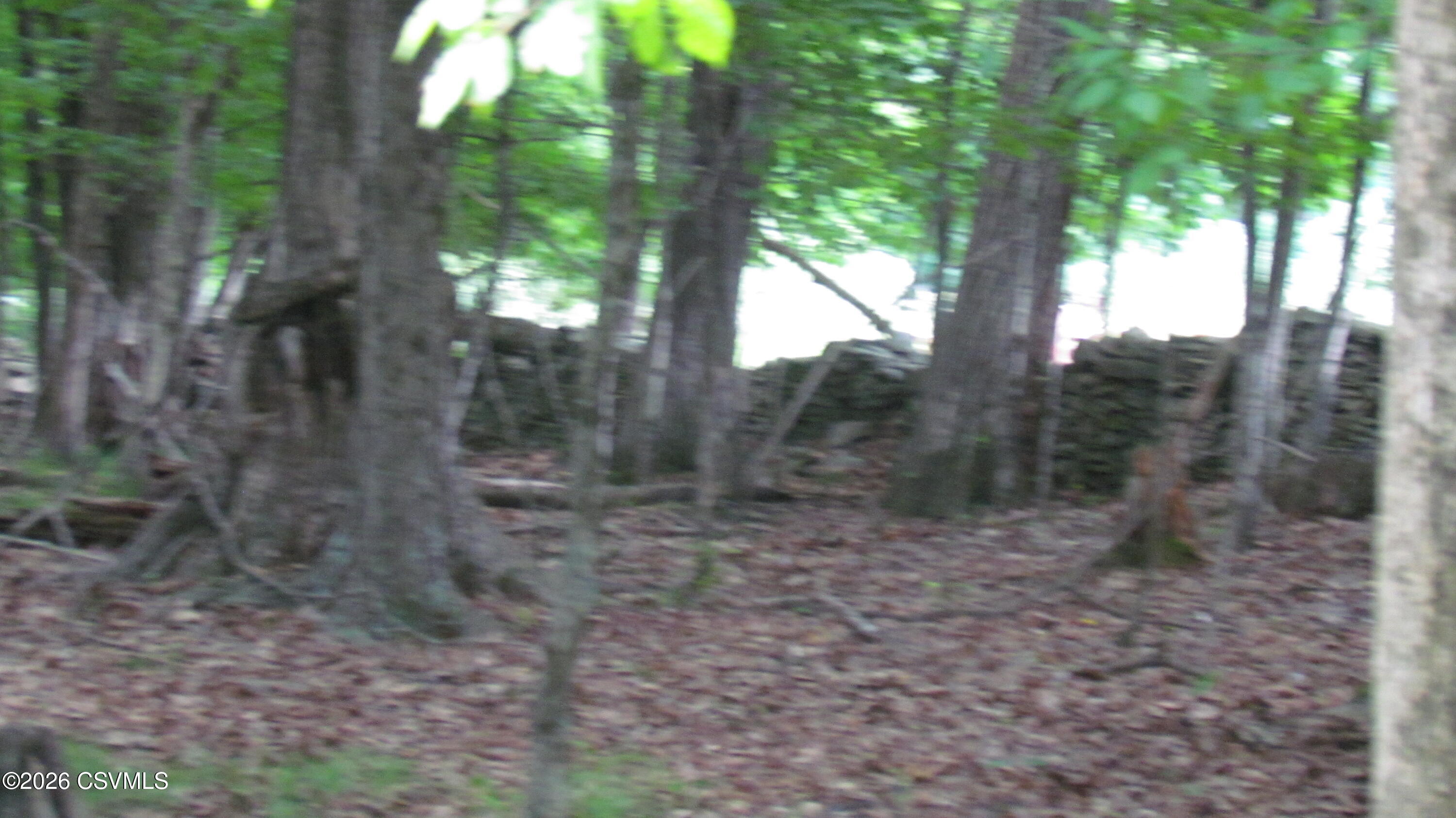Johnson Road Shickshinny, PA 18655 - Photo 24 of 26 Gallery Image 24