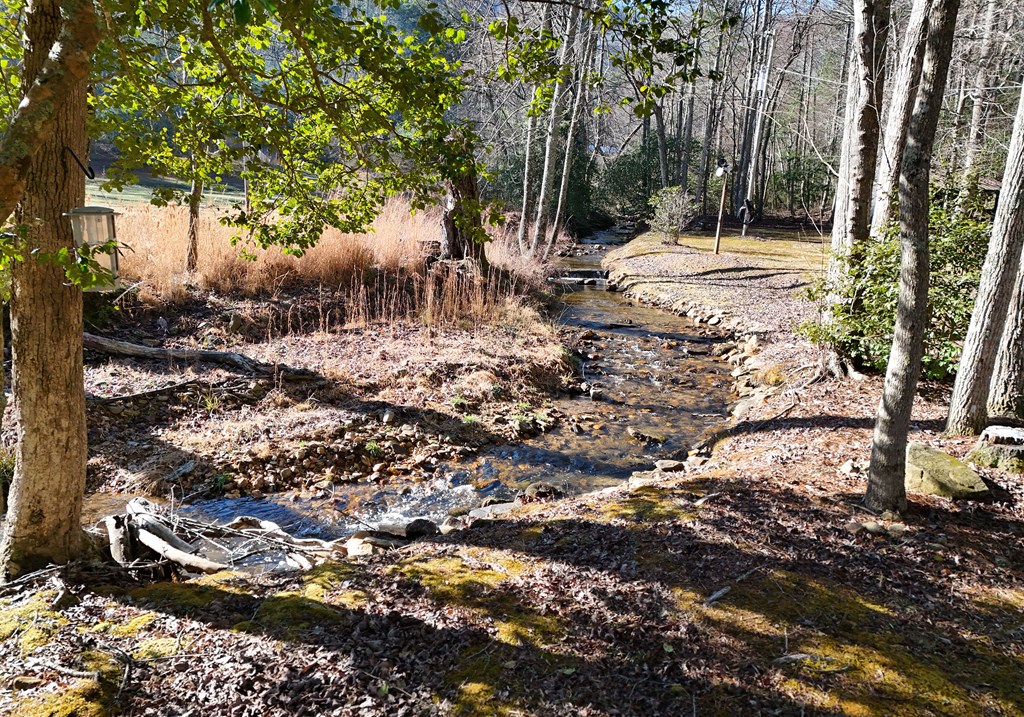 642 Everett Road Blairsville, GA 30512 - Photo 45 of 50