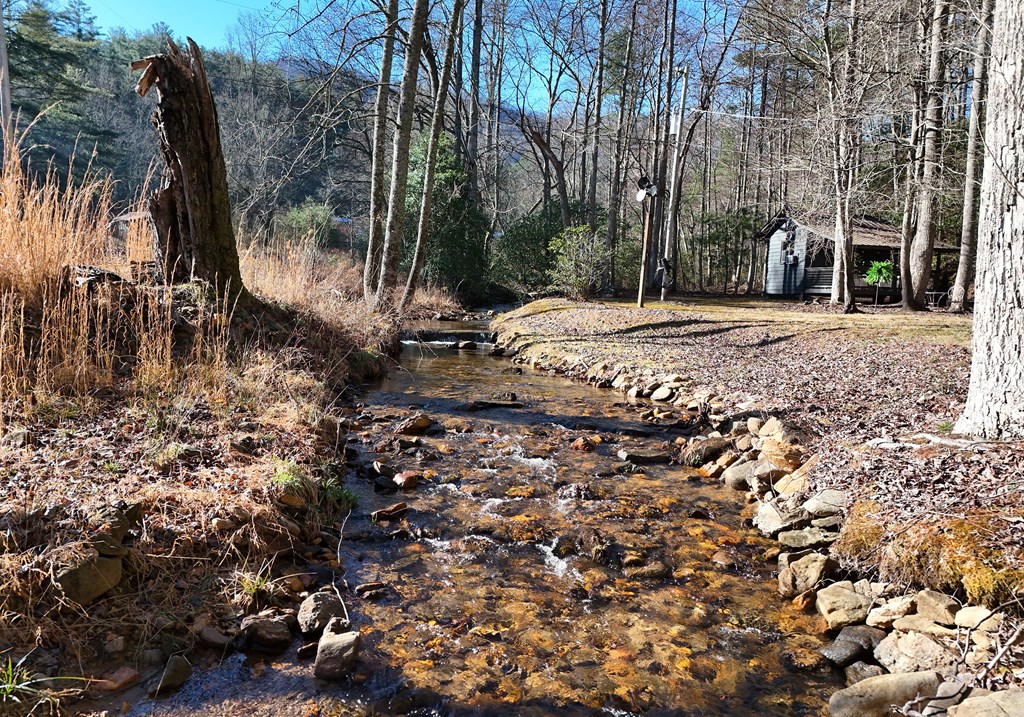642 Everett Road Blairsville, GA 30512 - Photo 47 of 50