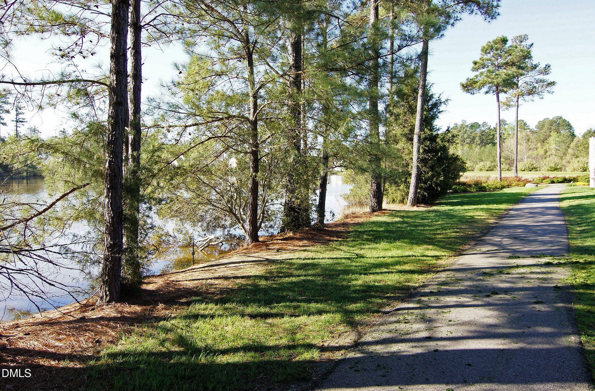 5 Flagstaff Court Durham, NC 27713 - Photo 31 of 40 a view of a park with large trees