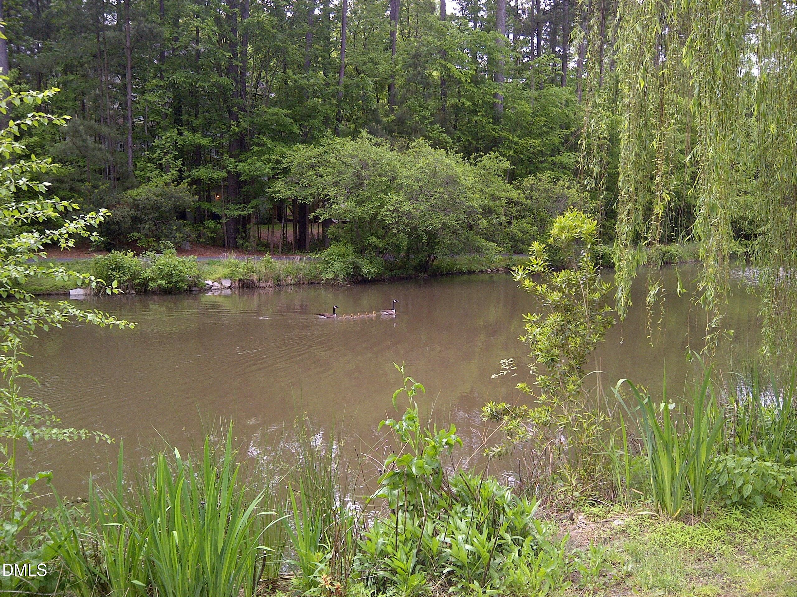 5 Flagstaff Court Durham, NC 27713 - Photo 34 of 40 a view of lake with green space
