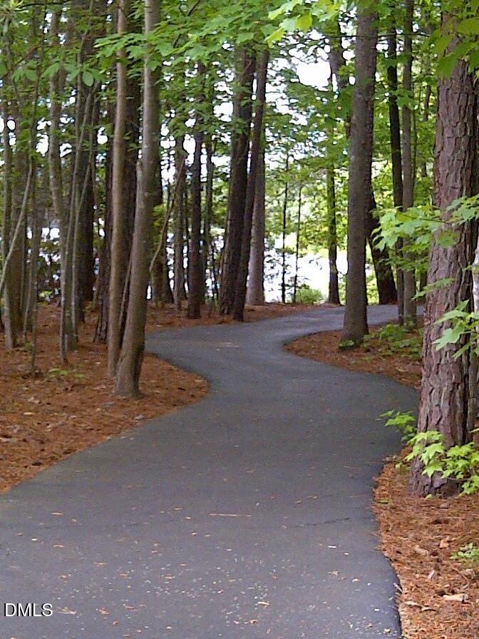 5 Flagstaff Court Durham, NC 27713 - Photo 35 of 40 a view of backyard space and trees