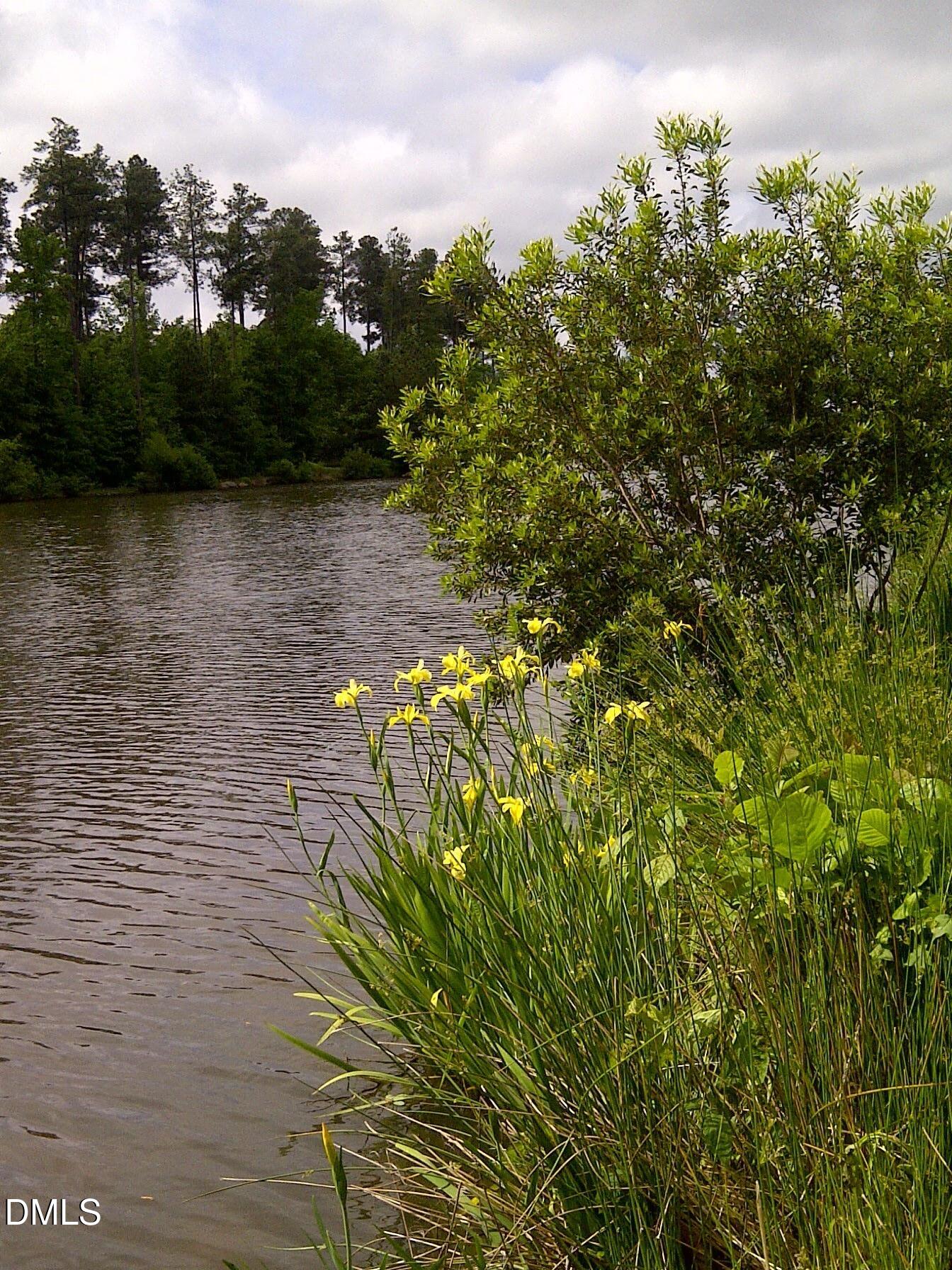 5 Flagstaff Court Durham, NC 27713 - Photo 36 of 40 a view of a lake