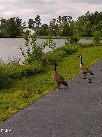 $525,000 | 5 Flagstaff Court, Durham, NC 27713