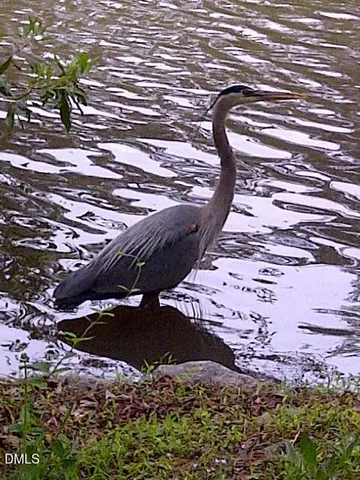 $525,000 | 5 Flagstaff Court, Durham, NC 27713