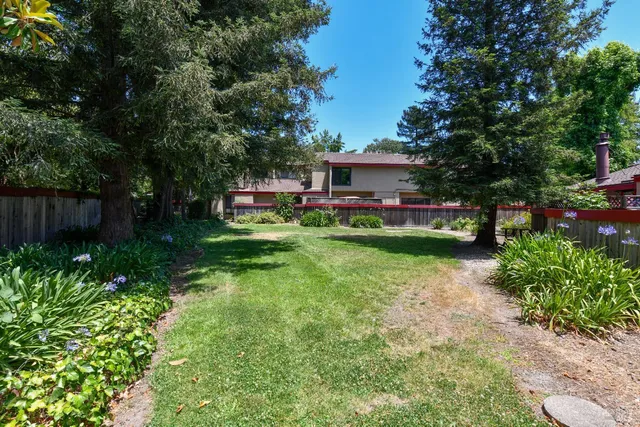 a view of a swimming pool with a bench and trees