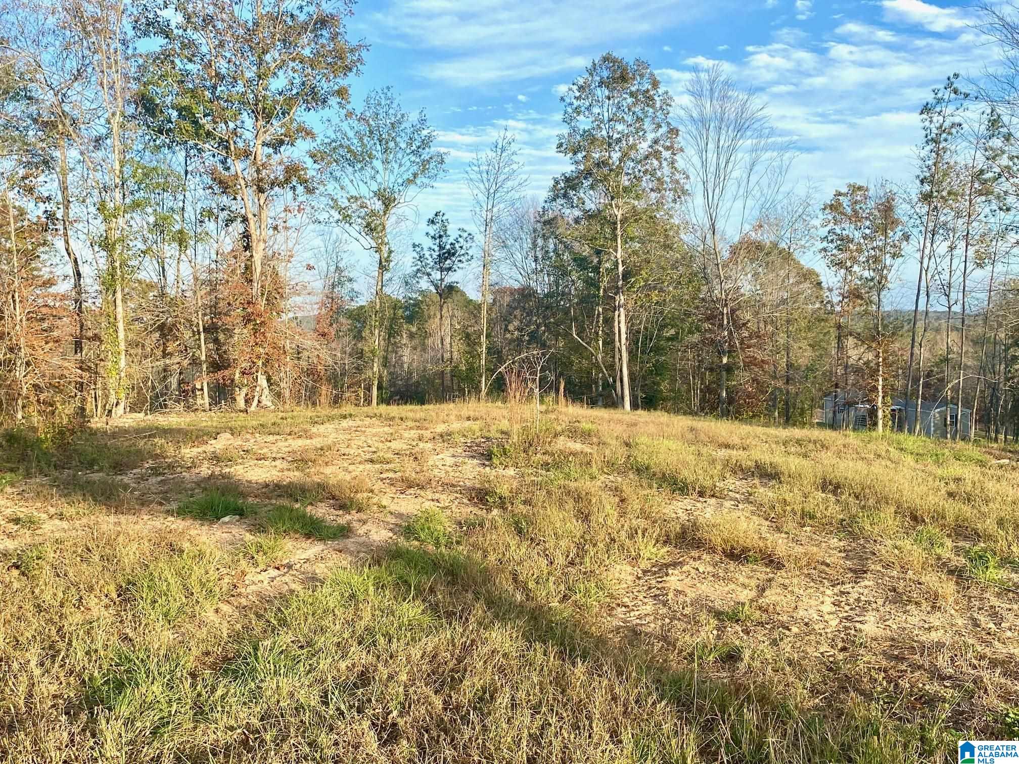 325 County Road 13 Heflin, AL 36264 - Photo 16 of 56