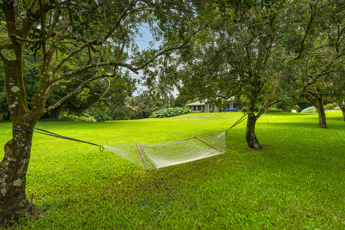 53-532 Iole Road Kapaau, HI 96755 - Photo 10 of 30 Gallery Image 10