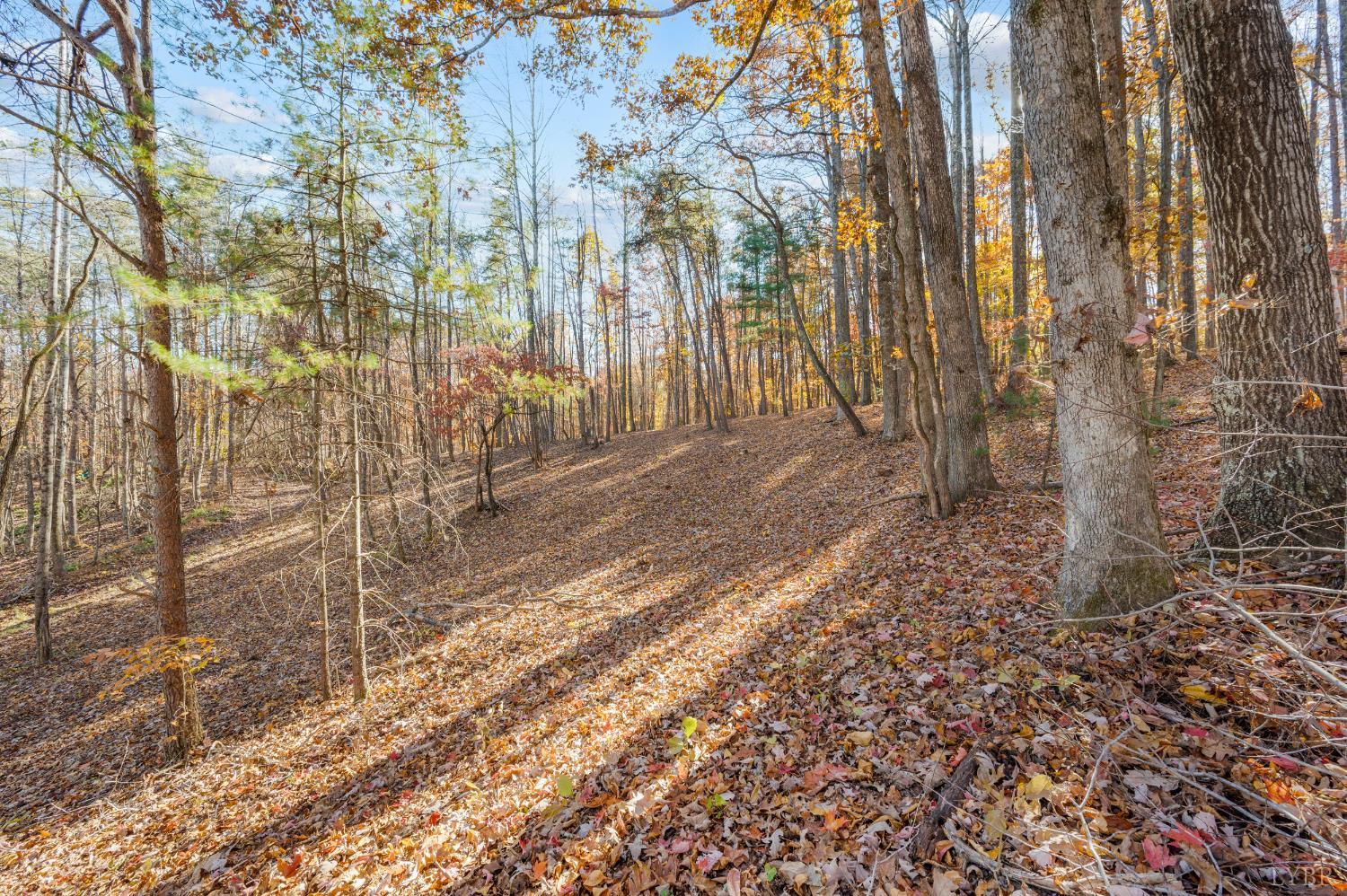 170 Fairystone Church Loop Stuart, VA 24171 - Photo 90 of 99
