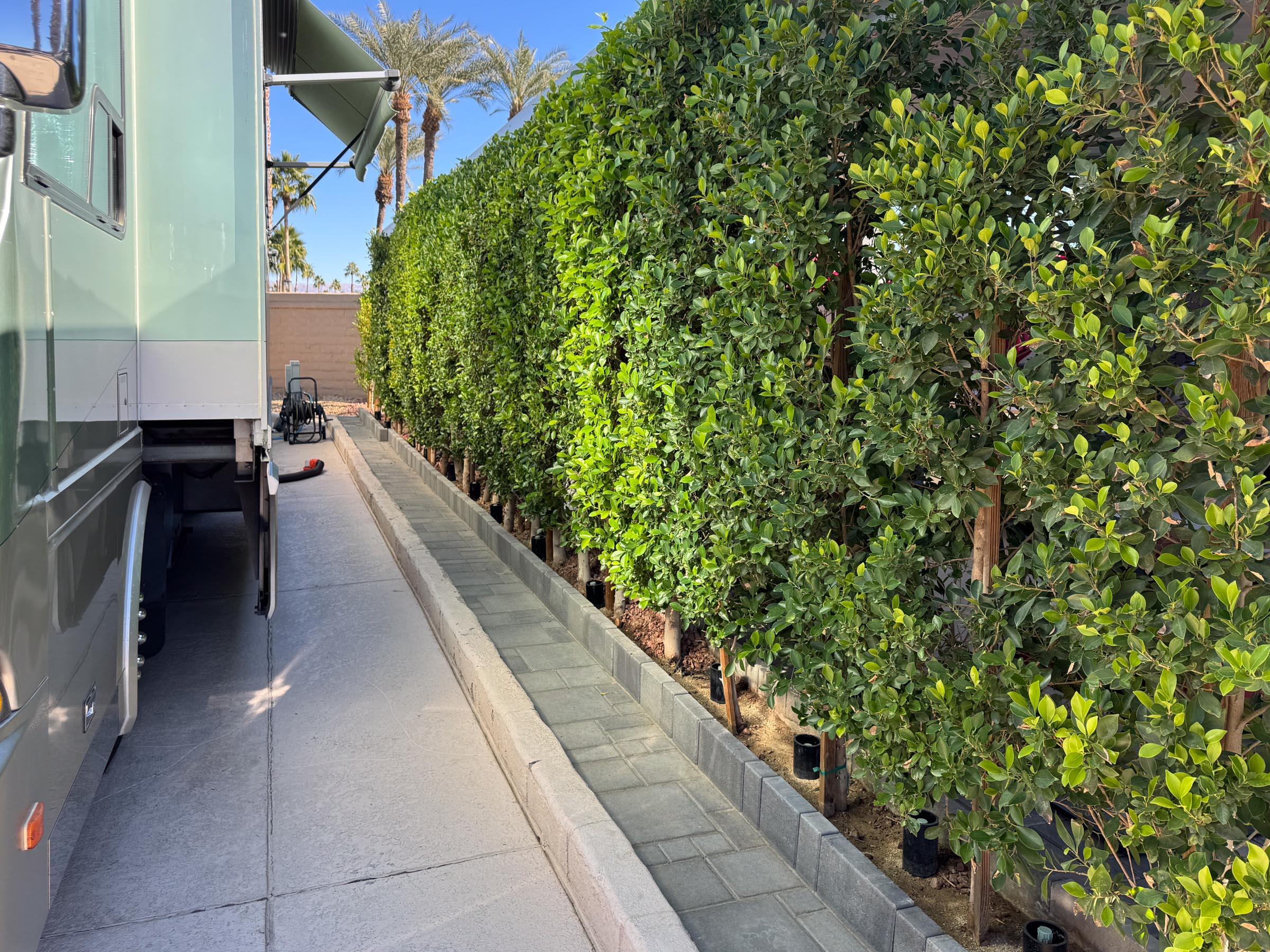 80394 Ave 48, Unit 105 Indio, CA 92201 - Photo 7 of 13 a view of a garden