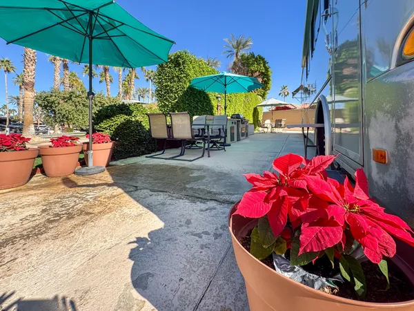 a view of outdoor space patio and outdoor kitchen