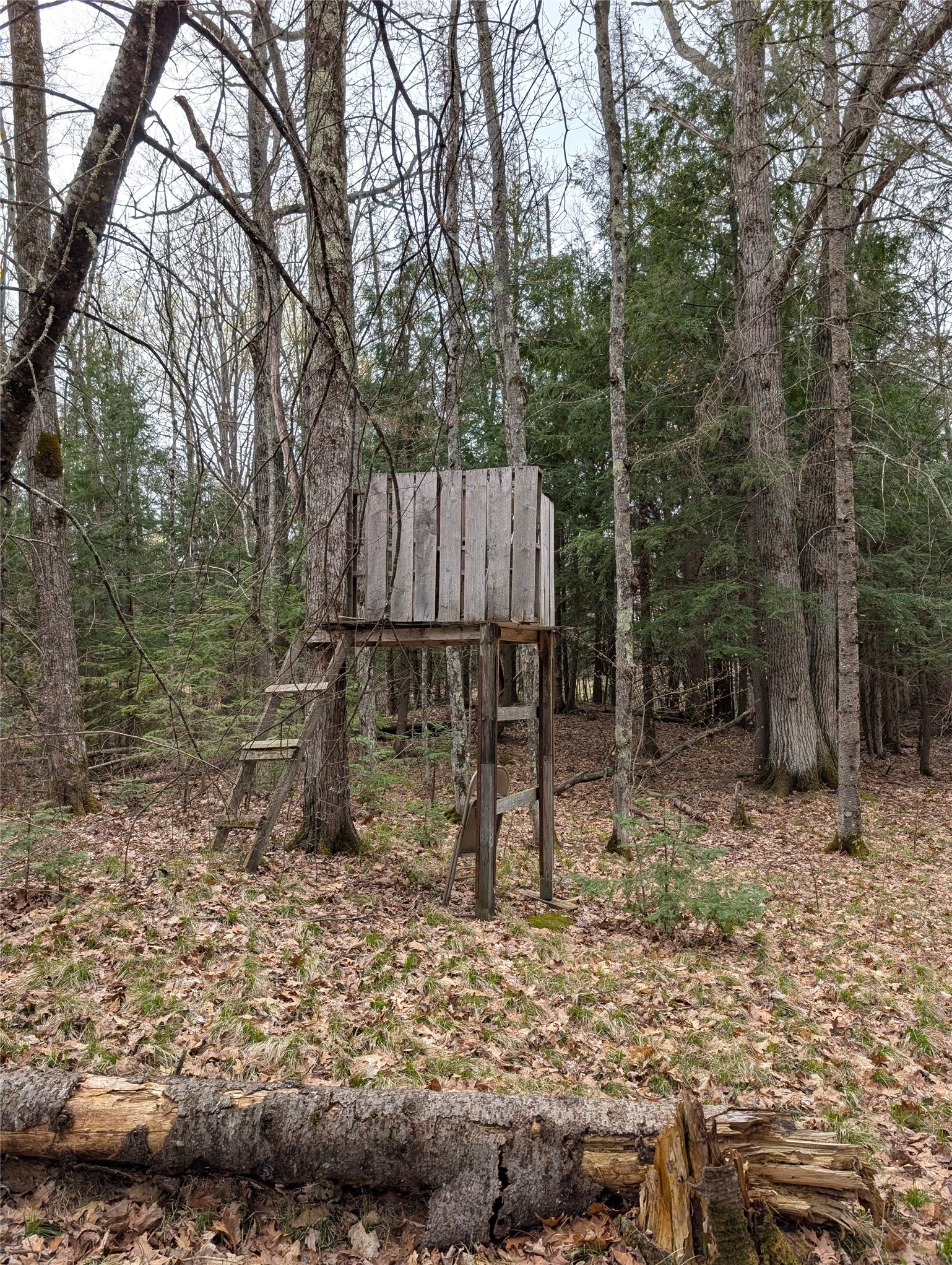 0 Us Highway Grand View, WI 54839 - Photo 19 of 20