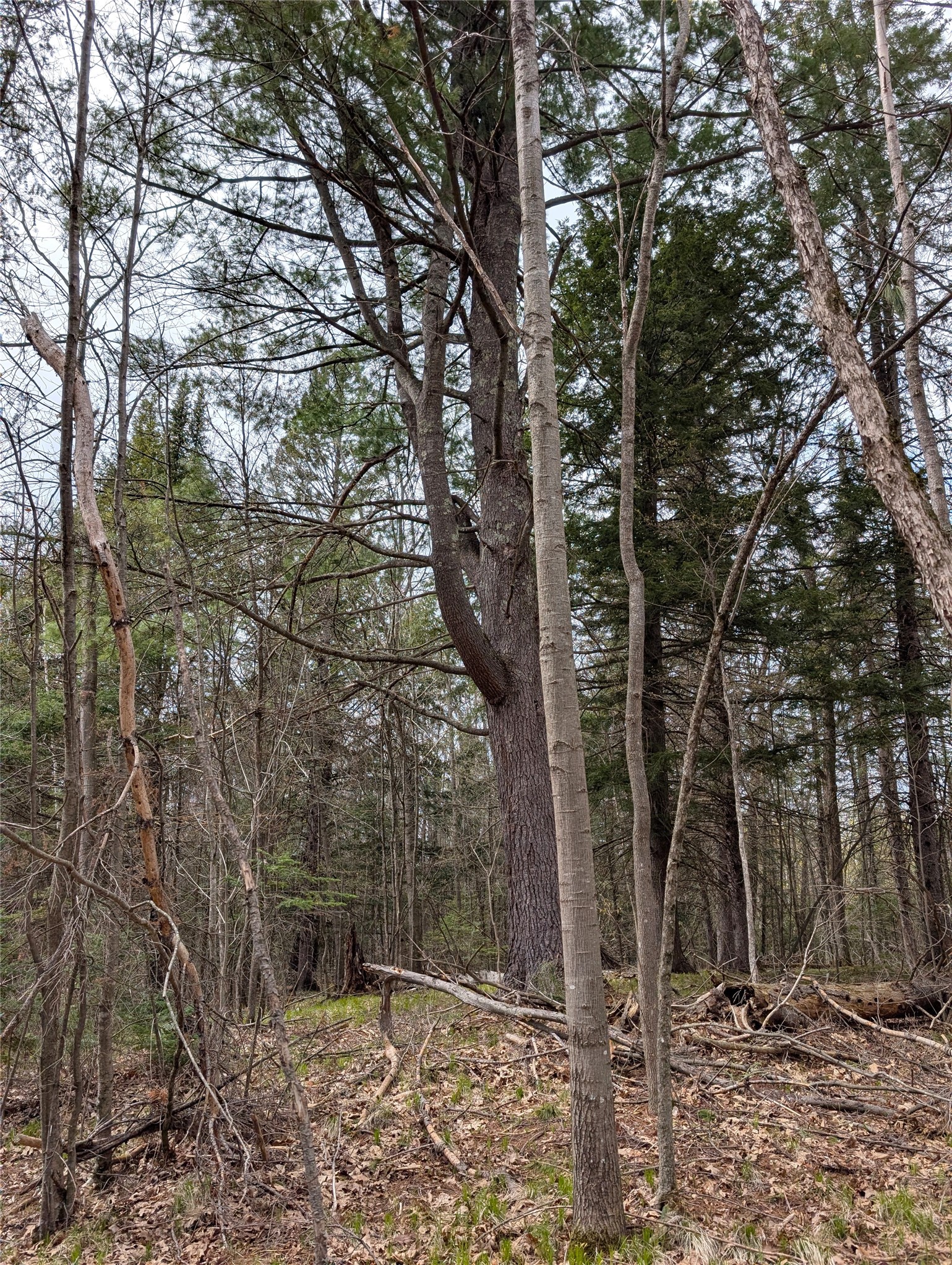 0 Us Highway Grand View, WI 54839 - Photo 20 of 20