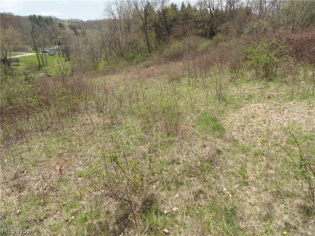 Johnsonville Road Chester, WV 26034 - Photo 11 of 20 Gallery Image 11