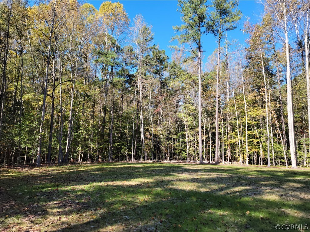 16510 Exter Mill Road Chesterfield, VA 23838 - Photo 38 of 44 a view of a park with a building in the background