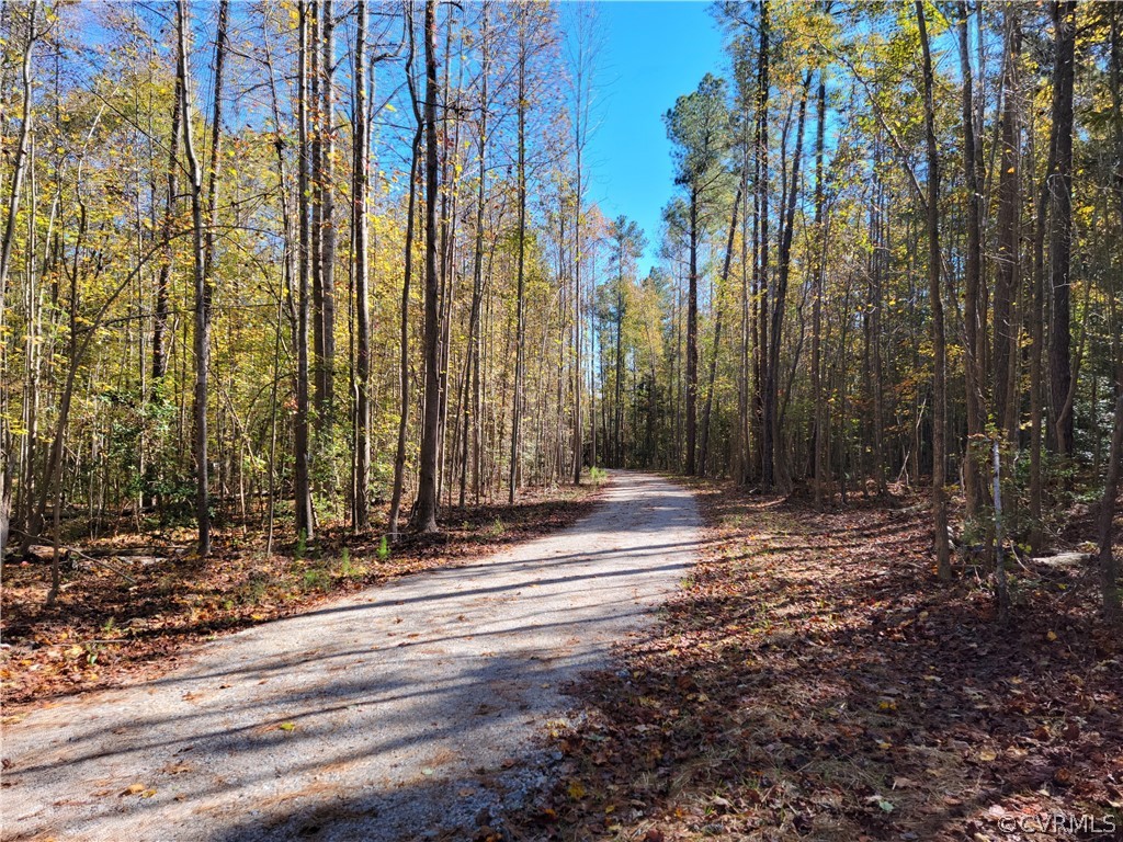 16510 Exter Mill Road Chesterfield, VA 23838 - Photo 42 of 44 a view of street and with trees