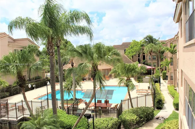 a view of a yard with plants and palm trees