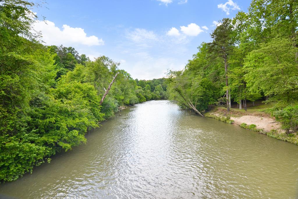 56 Monica Court Ellijay, GA 30540 - Photo 45 of 49