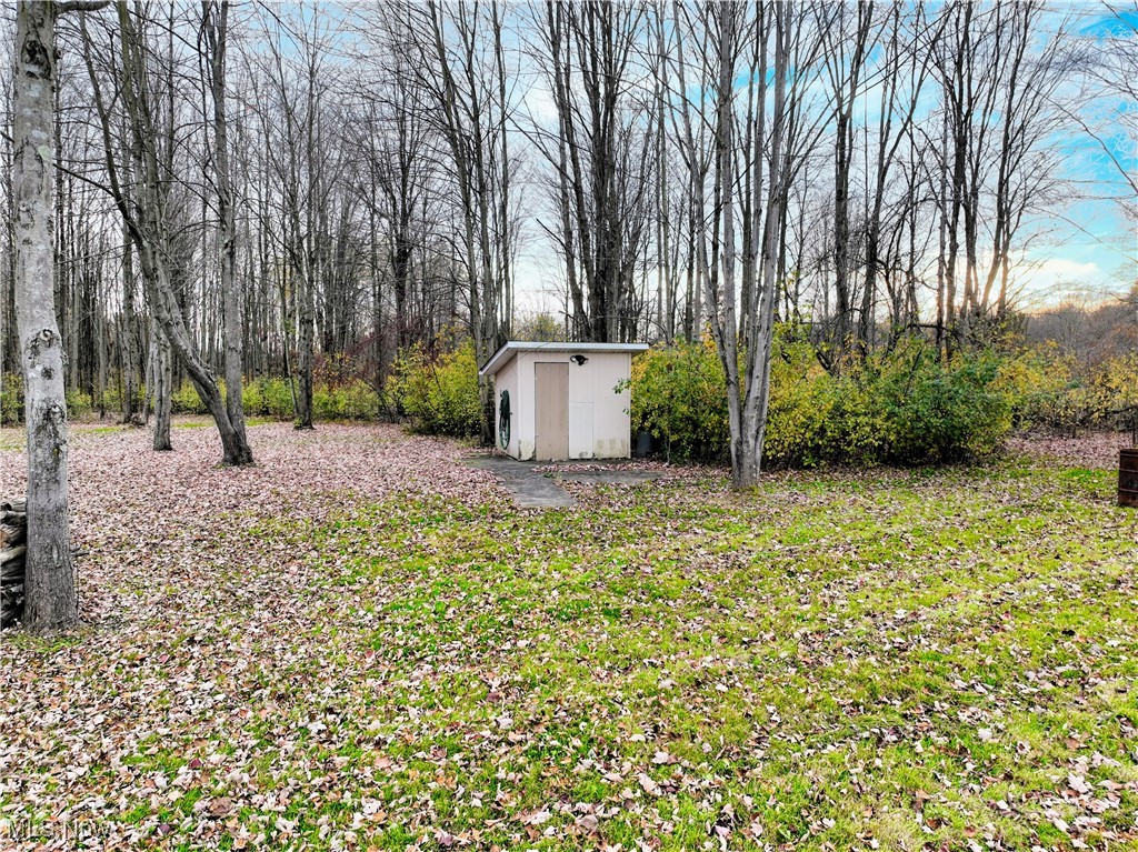 17161 Burrows Road Thompson, OH 44086 - Photo 40 of 48 View of yard featuring a shed