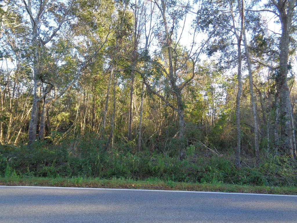 3.78-ac Rowland Road Dothan, AL 36301 - Photo 1 of 1