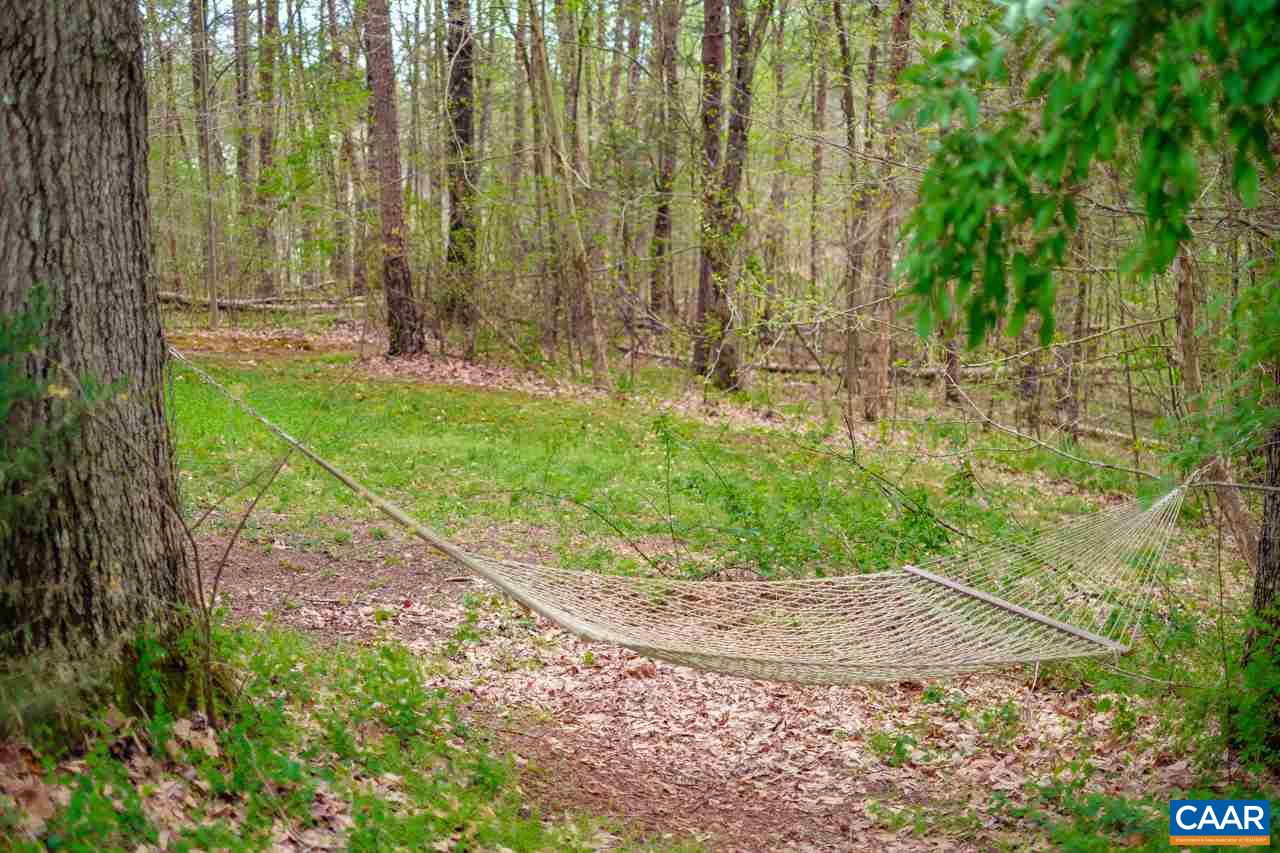 323 Buffalo Run Road Stanardsville, VA 22973 - Photo 35 of 37 a view of a backyard with potted plants and large trees