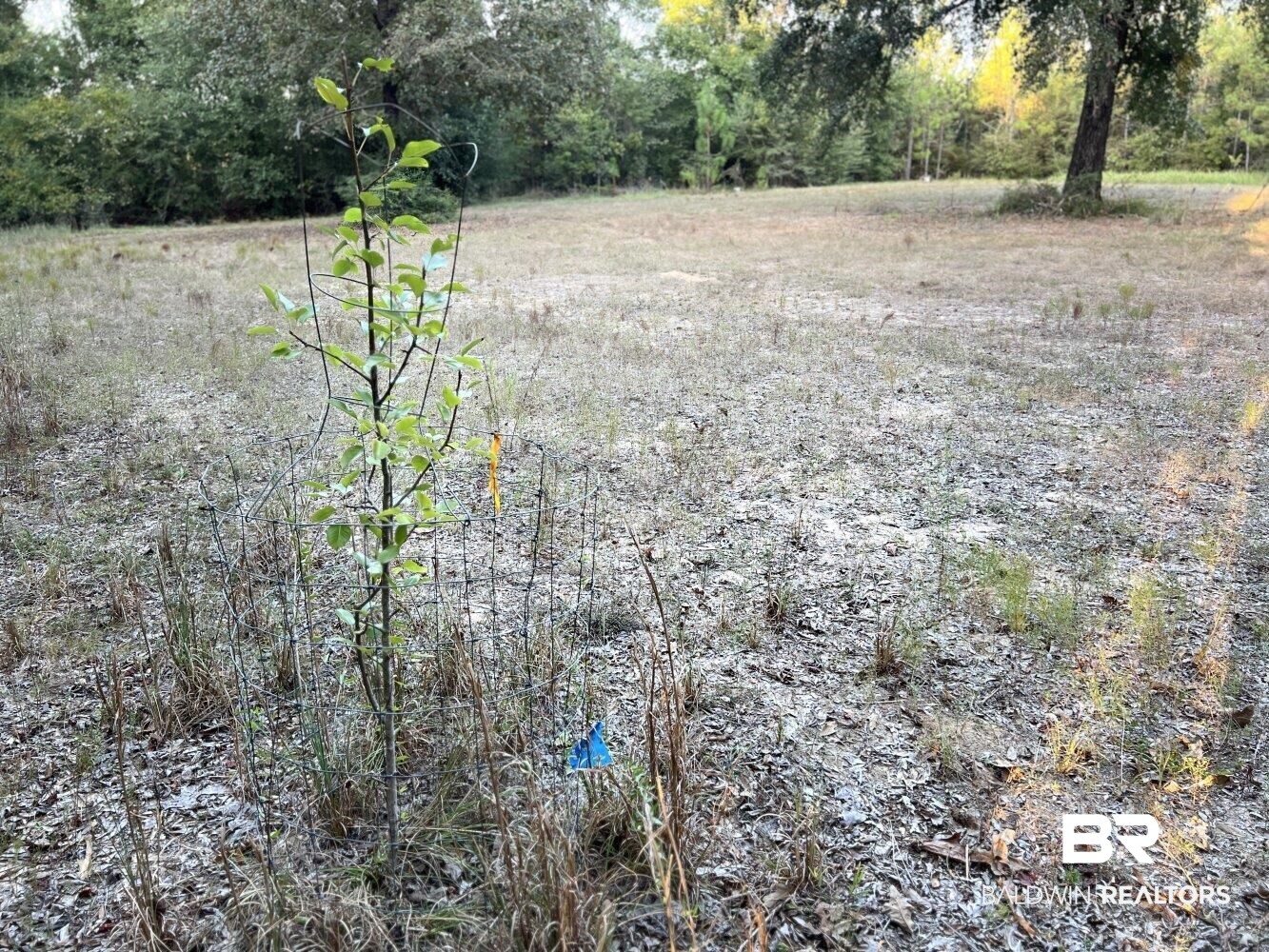 0 Howell Drive Mount Vernon, AL 36560 - Photo 31 of 50