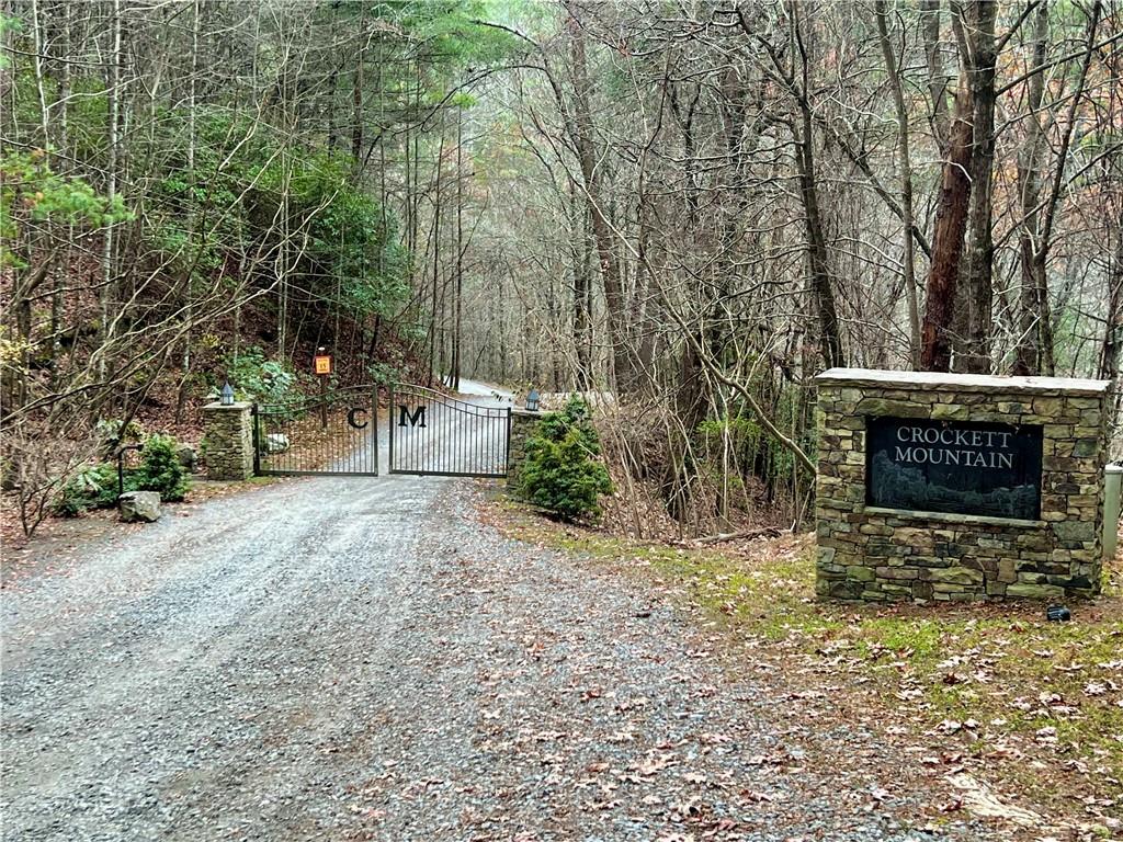 0 Laurel Creek Road Blue Ridge, GA 30513 - Photo 1 of 1