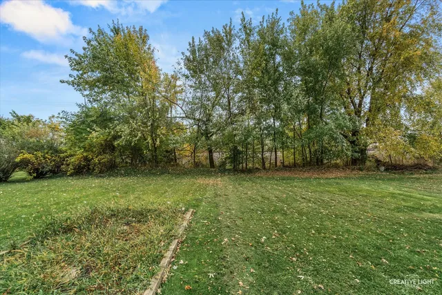 a view of outdoor space and yard