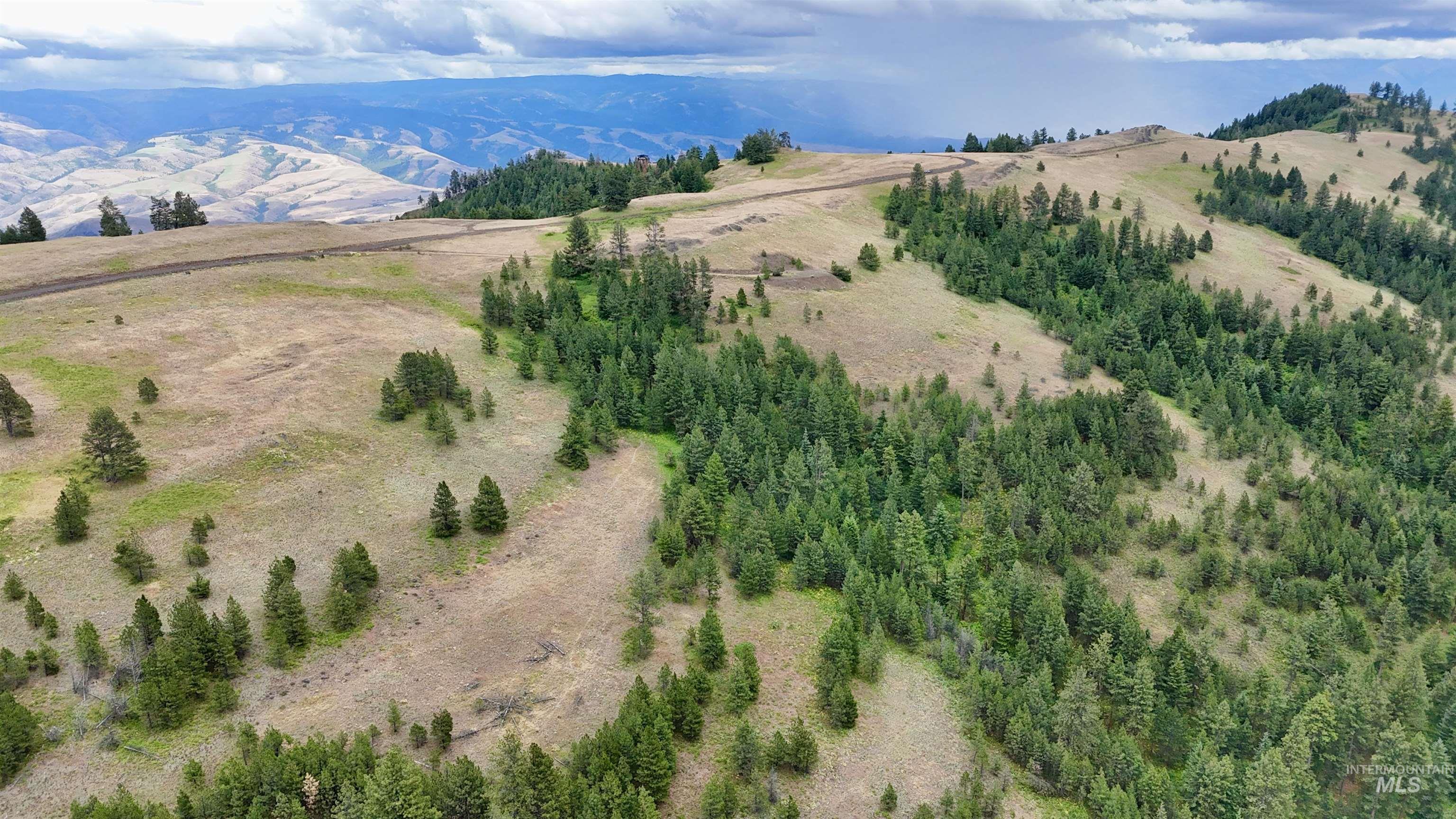 Lot 91 Pilgrim Ridge Road White Bird, ID 83554 - Photo 11 of 35